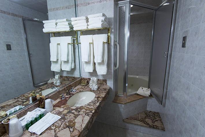 The Avenue Plaza 3*