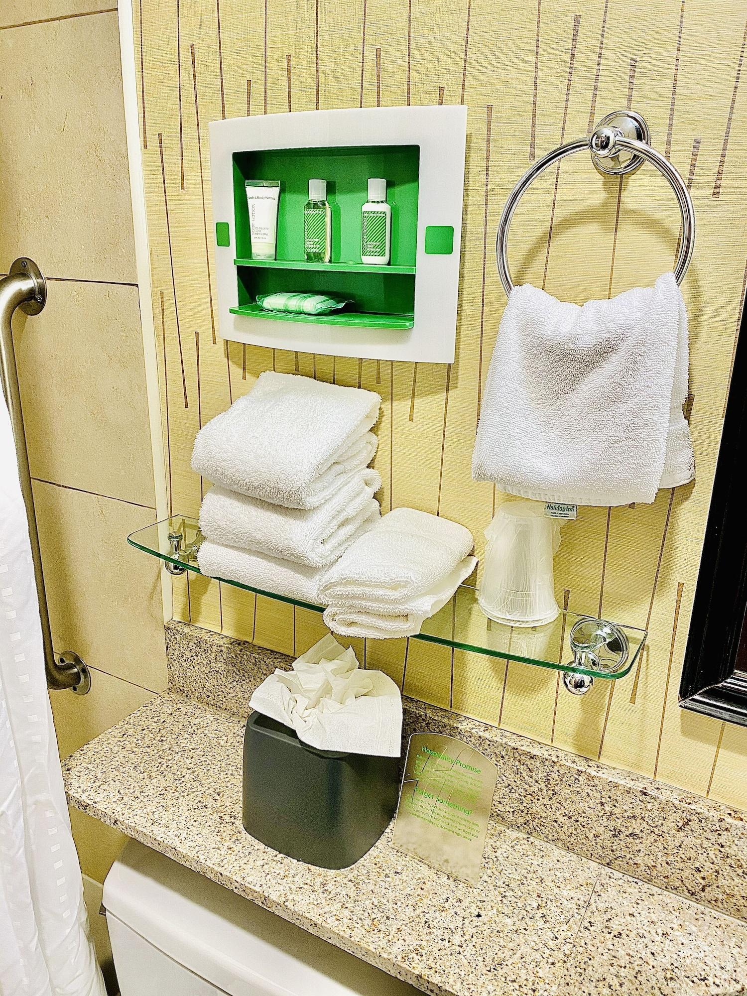Holiday Manhattan 6th Ave - Chelsea By Ihg 4* New York