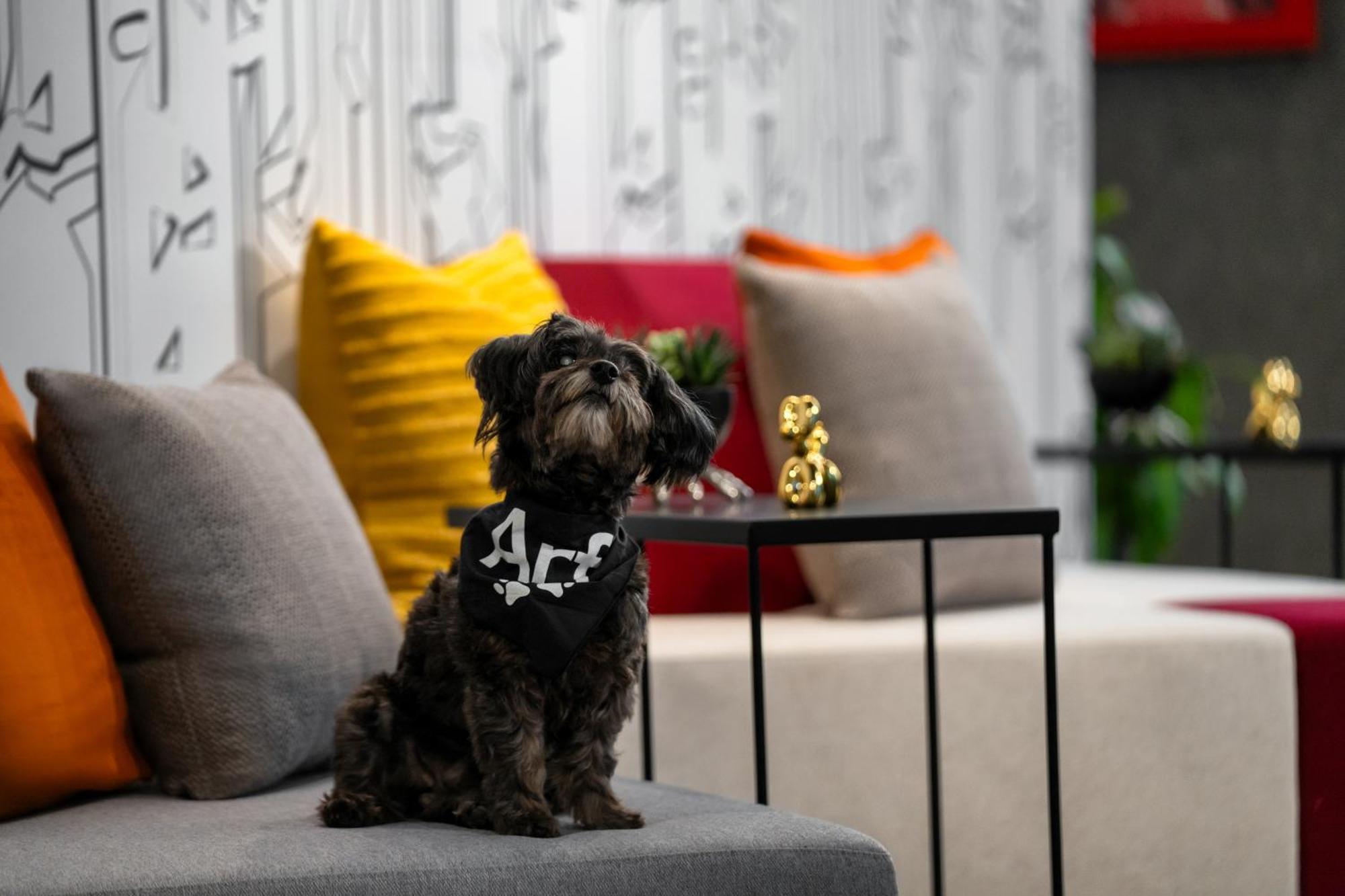 Aloft Chelsea Hotel 4*