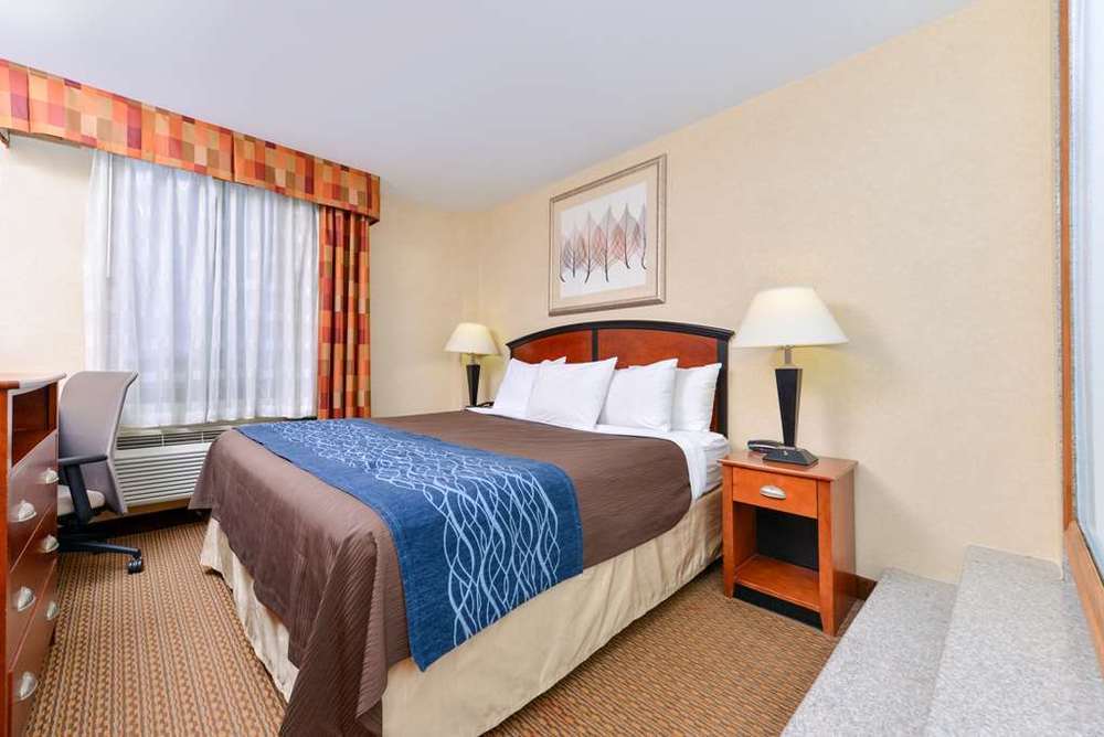 Red Lion And Brooklyn Hotel New York
