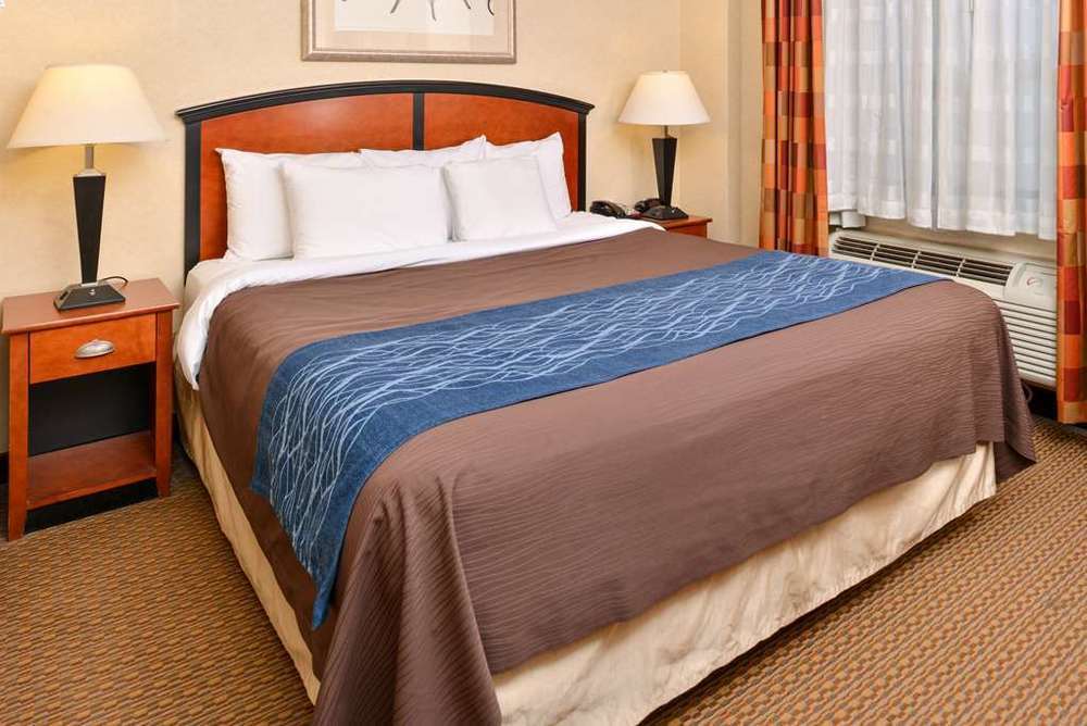 Red Lion And Brooklyn Hotel New York