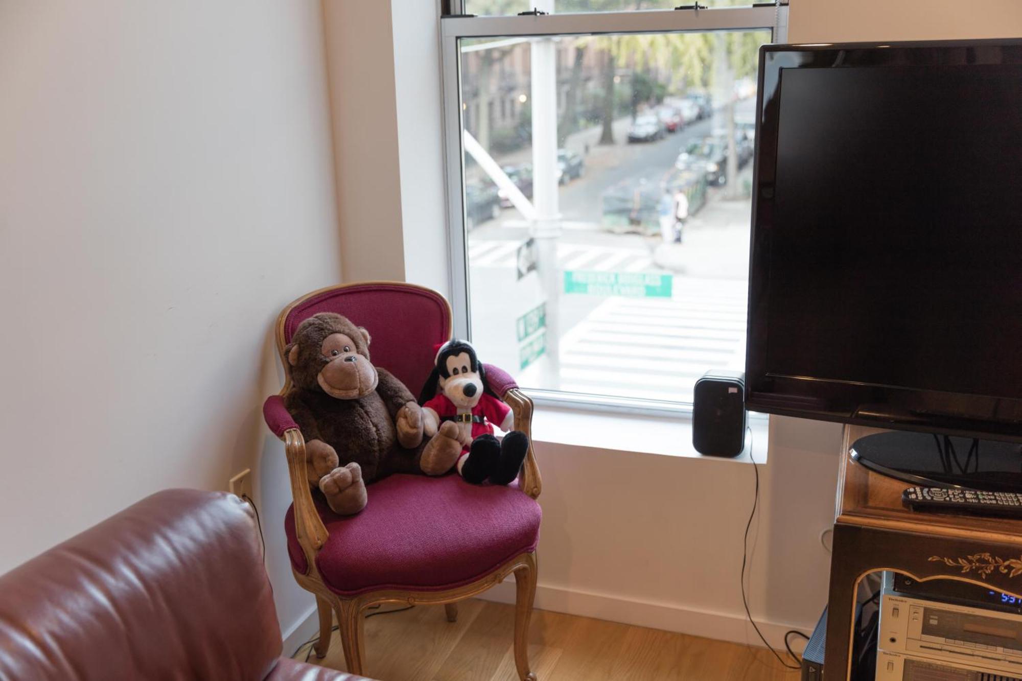 Apartment Beautiful Strivers Row, Harlem New York