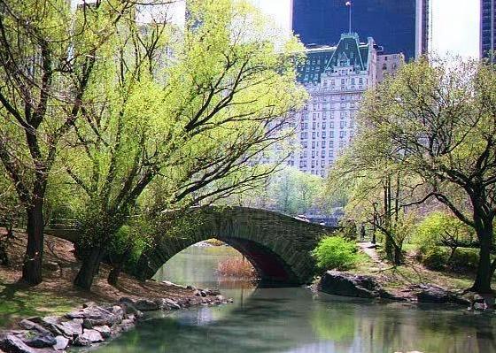 The Westin Grand