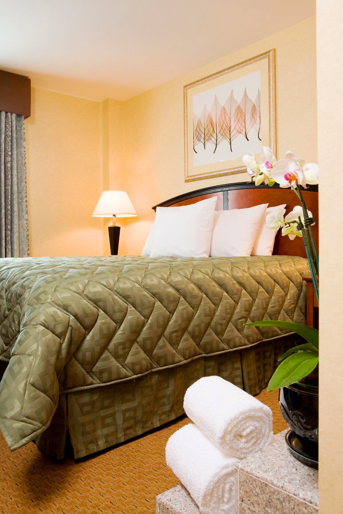 Red Lion And Brooklyn Hotel