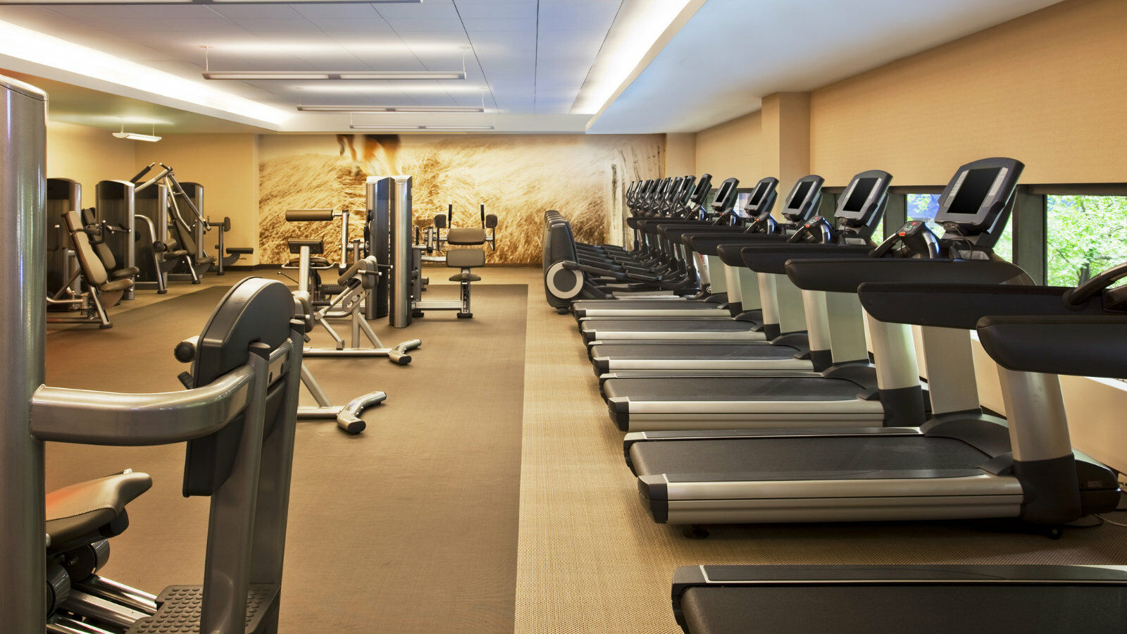 The Westin Grand Hotel 4*
