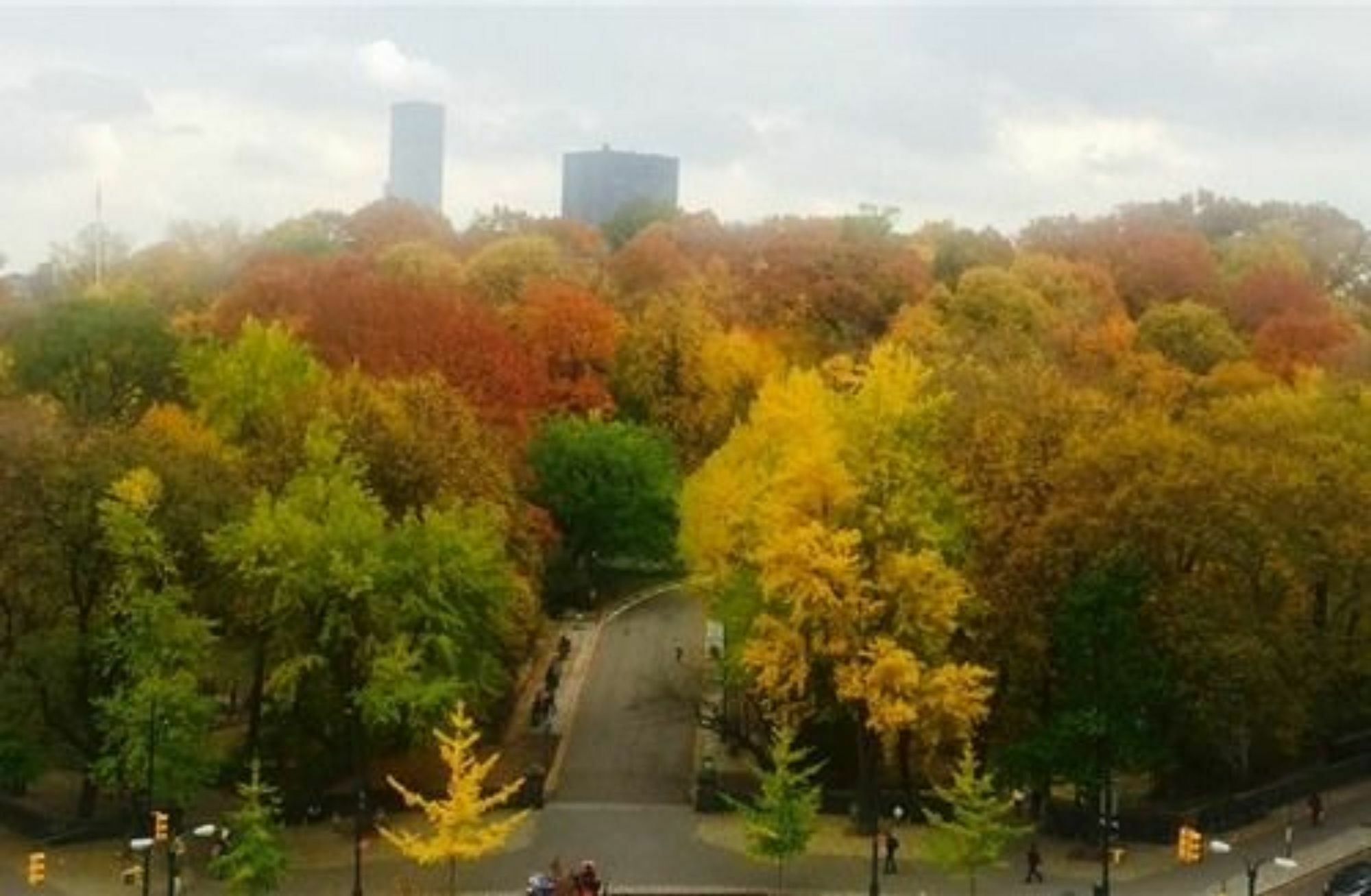Hotel Park View