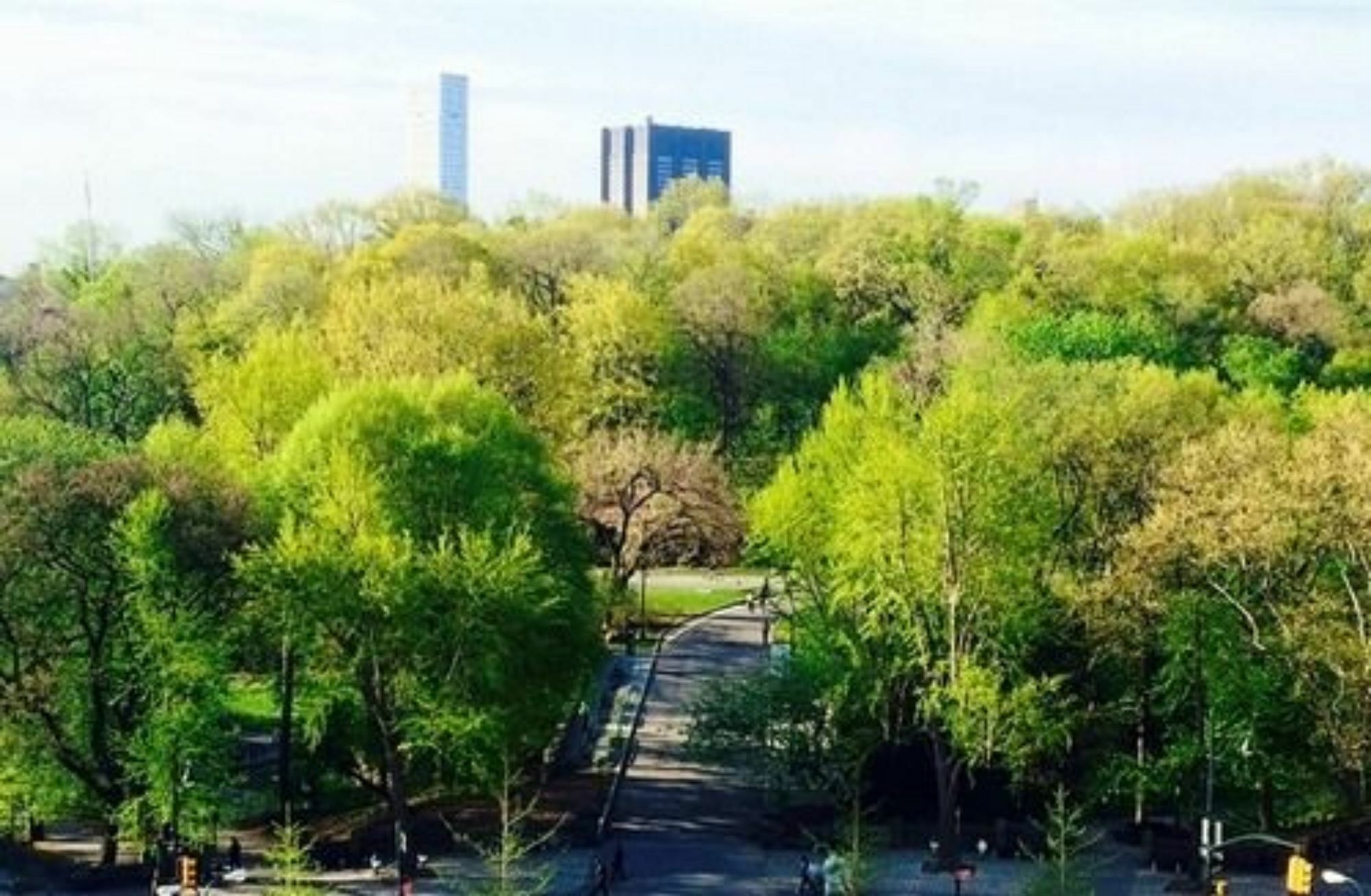 Park View 2* New York