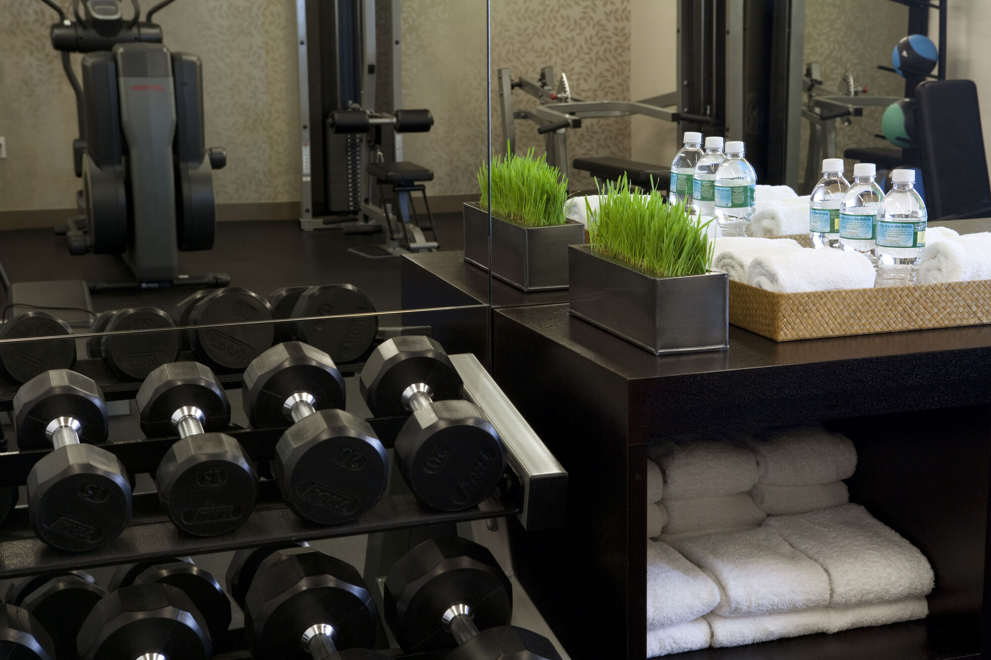 Hotel The Shelburne Sonesta 4*